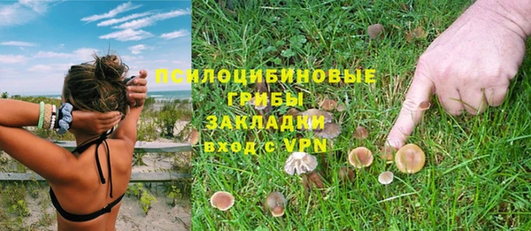 молекула духа Покровск