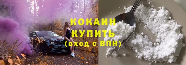 молекула духа Покровск
