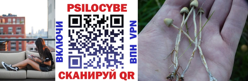 Псилоцибиновые грибы GOLDEN TEACHER  Карабаново 